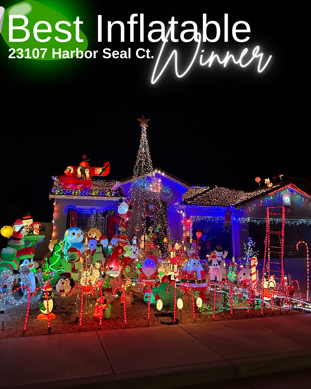 Best inflatable Winer-Instagram