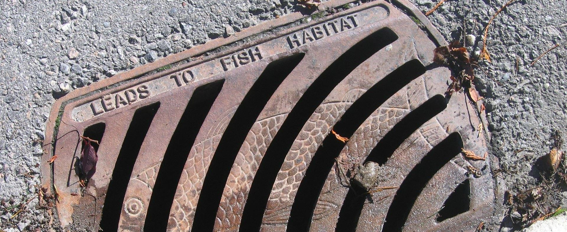 Metal Grate leading to Fish Habitat
