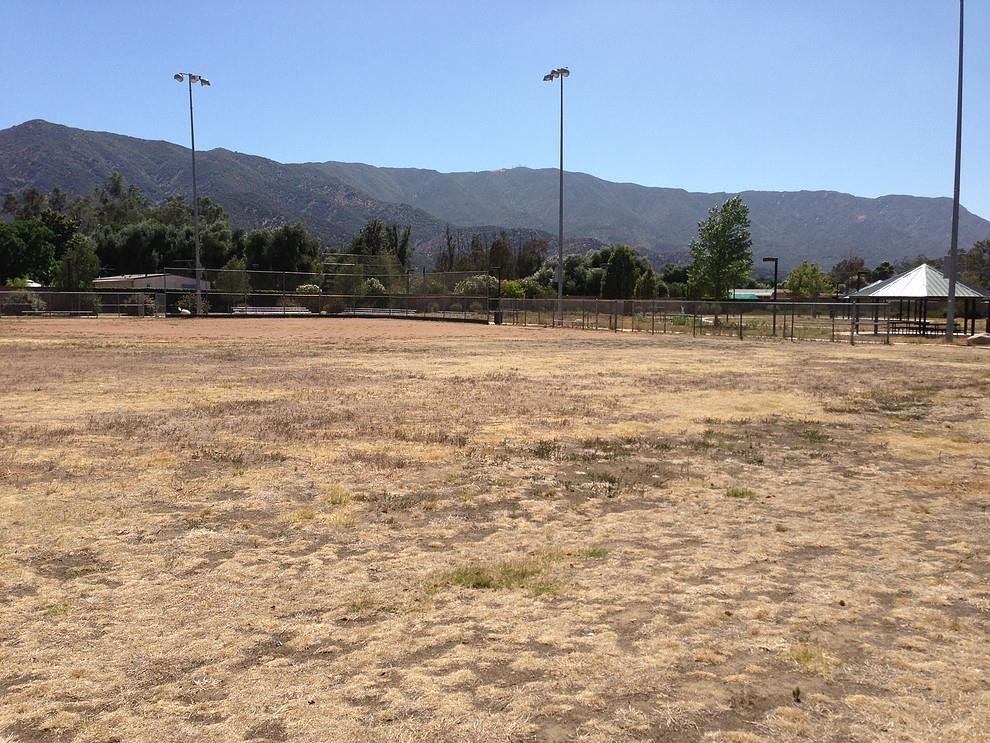 Great Day of Service 2