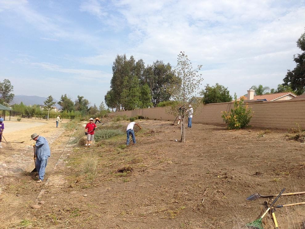 Great Day of Service 12