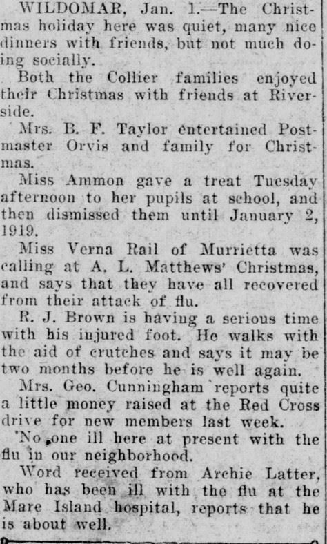Article from January 1, 1919