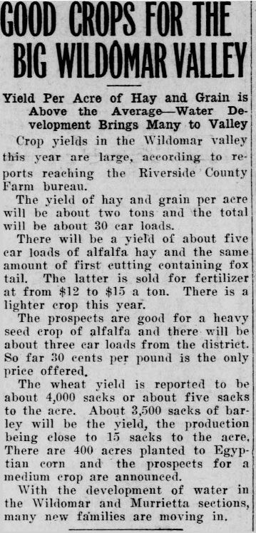Article from August 5, 1920